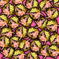 Golden Naughty Love Slapper Sticker